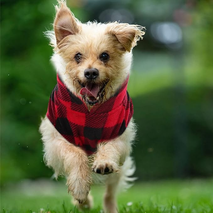 Kama Bridal Dog Spring Autumn Winter Coat Pullover Fleece Vest for Cats & Dogs - Red & Black Plaid (Red, S)