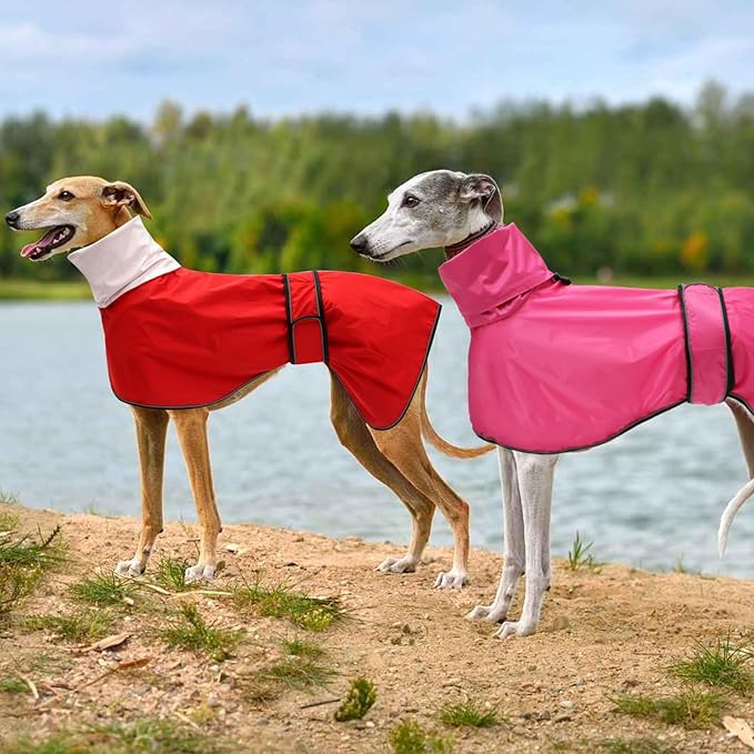 Dog Raincoat with Reflective Bar, Rain/Water Resistant, Adjustable Vest - Dog Raincoats for Greyhounds, Lurchers and Whippets - Pink - L