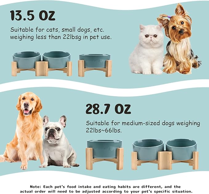 SPUNKYJUNKY 15° Slanted Ceramic Dog and Cat Bowl with Wooden Stand, Tilted Bulldog Food and Water Bowl No Slip Non-Spill for Cats Medium Dogs Big Face Pets 28.7 OZ (3.6 Cups, Light Green)