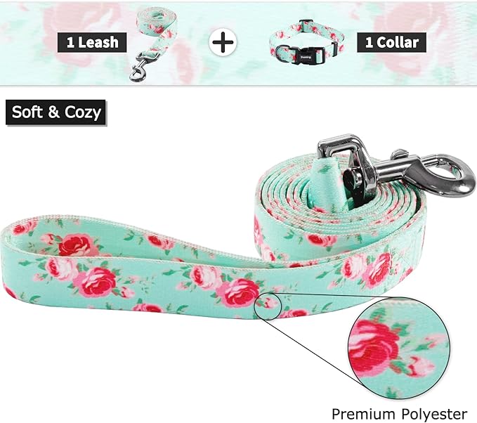 Ihoming Dog Collar and Leash Set for Daily Outdoor Walking Running Training, Floral Spring Design for Small Boys Girls Dogs Cats Pets, S-Up to 20LBS