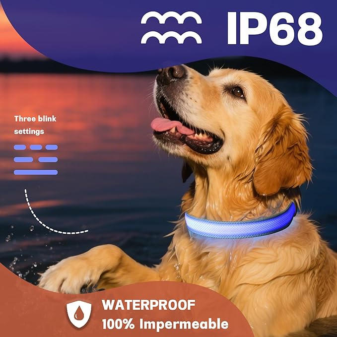 DOGWONG LED Dog Collar - Heavy Duty Light up Collars - Rechargeable Waterproof - Lighted Dog Collar for Night Walking, Hiking, Camping(Blue,M)