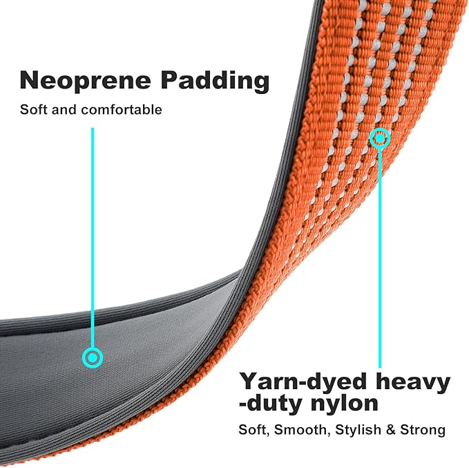 Plutus Pet Reflective Dog Collar with Aviation Aluminum Buckle, Neoprene Padded for Comfort, Lightweight, Heavy Duty Nylon Collar for Puppy Small Medium Large Dogs (Orange, XL)
