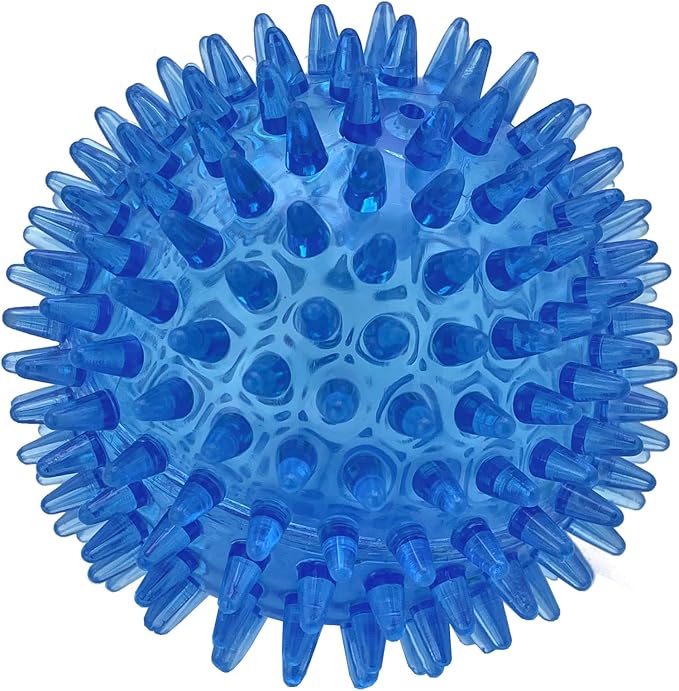 Cutie's PetBox Squeaky Rubber Spike Toy Ball for Small Dogs (2.5 Inch, Blue)