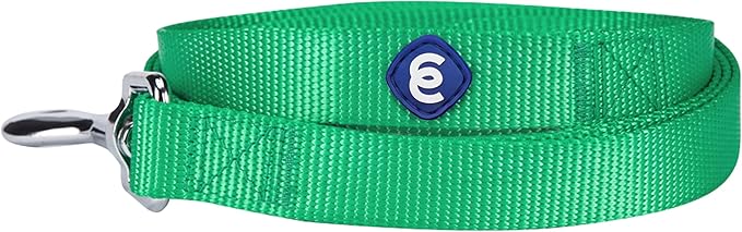 Blueberry Pet Essentials Emerald Dog Leash for X-Small -5' * 3/8" Dogs | Heavy Duty Nylon Lead | Lightweight Puppy & Cat Leash for Walking & Training