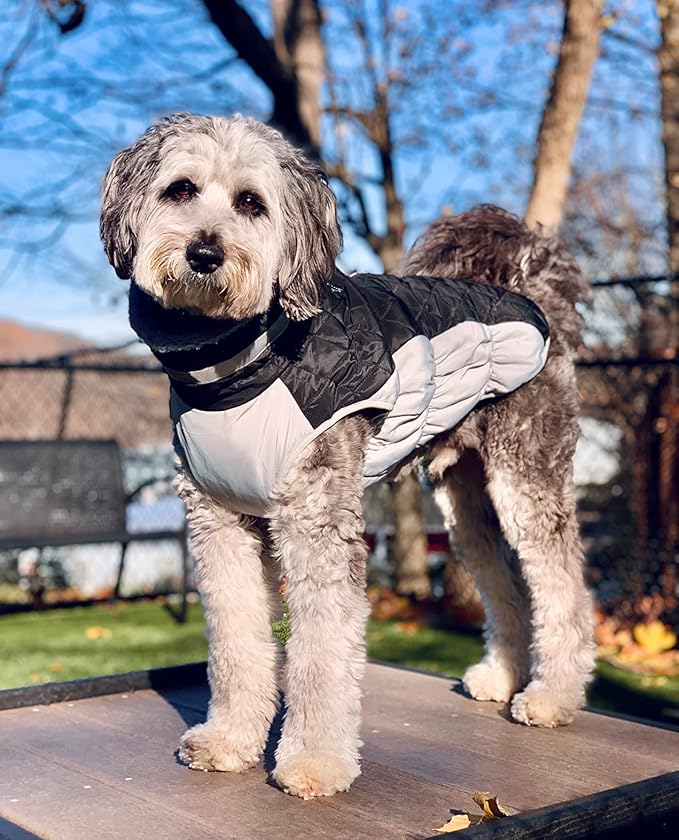 Lelepet Dog Coat Warm Dog Winter Coat Waterproof Dogs Jacket with Harness Built in Reflective Pet Fleece Vest Zip-Up Cold Weather Coats for Large Dogs Turtleneck & Windproof Coats Boston Terrier Black