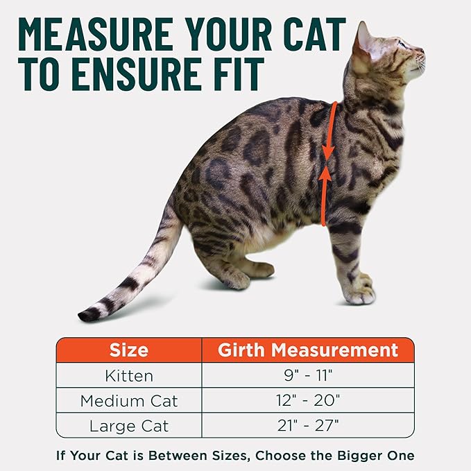 Houdini™ Escape Proof Kitten Harness and Leash Set by OutdoorBengal – Turquoise, Small Cat Harness for Walking