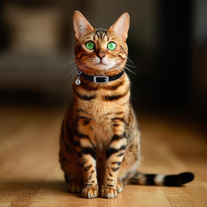 OOPSDOGGY Rolled Leather Cat Collar with Bell, Reflective Kitten Collars with Buckle Include Safety Elastic Strap - Adjustable Small Pet Collars for Boy Girl Cats (Black)