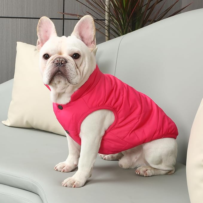 2 Layers Fleece Lined Warm Dog Jacket for Puppy Winter Cold Weather,Soft Windproof Small Dog Coat,Pink M