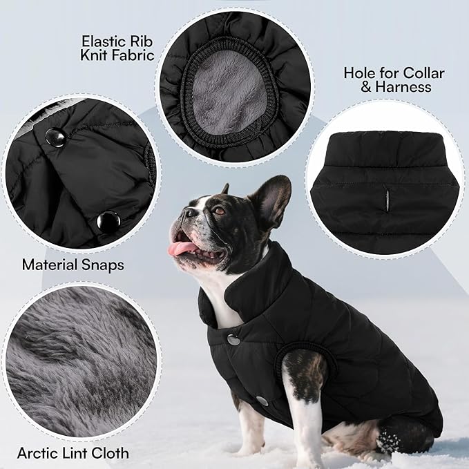 ASENKU Windproof Dog Winter Coat Waterproof Fleece Jacket Cold Weather Pet Apparel for Small Medium Large Dogs (Black, XS)