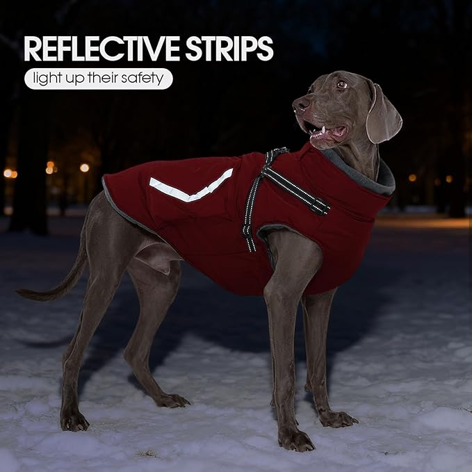 FUAMEY Dog Waterproof Winter Coat, Warm Dogs Jacket Reflective, Pet Fleece Lined Vest with Pockets, Cold Weather Clothes for Doggy, Dog Coats with Built in Harnesses, Schnauzer (Red, M)