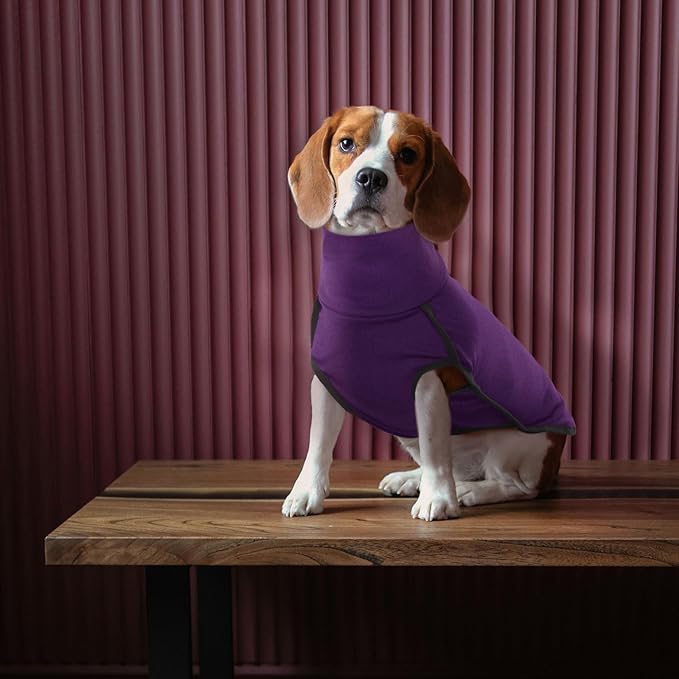 ROZKITCH Dog Winter Coat Soft Pullover Pajamas, Pet Windproof Warm Cold Weather Jacket Vest Cozy Jumpsuit Apparel Outfit Clothes for Walking Hiking Travel Sleep Purple XXS