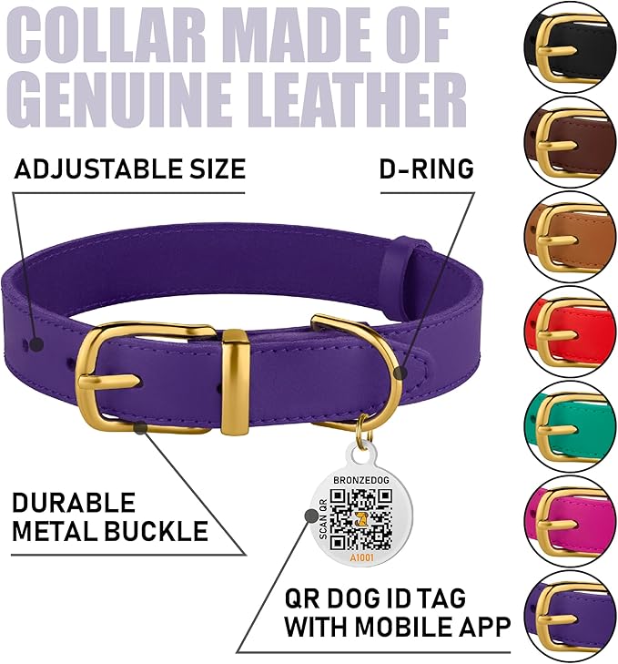 BRONZEDOG Leather Dog Collar with Metal Buckle Durable Basic Pet Collars for Small Medium Large Dogs (11-13 Inch (Pack of 1), Purple & Gold Buckle)