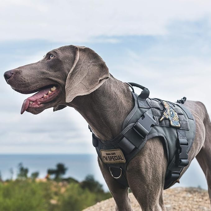 OneTigris Tactical Dog Harness Vest,No-Pull Service Dog Vest with Hook & Loop Panels,Adjustable Dog Vest Harness for Walking Hiking Training(Grey,XS)