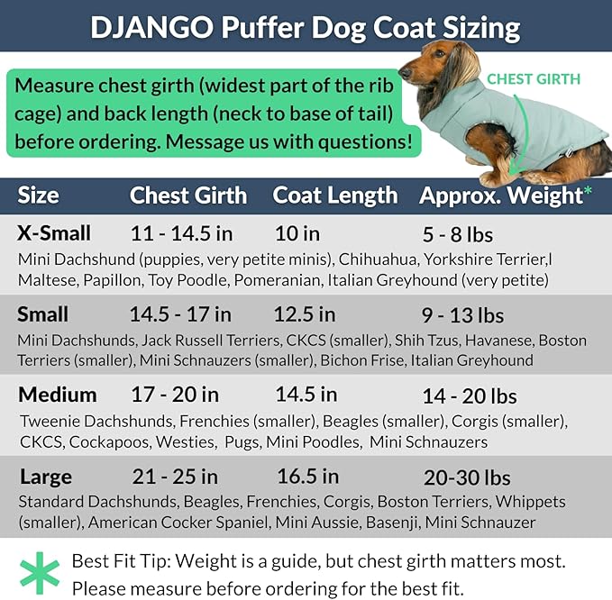 DJANGO Puffer Dog Coat – Warm Winter Dog Jacket & Water-Repellent Insulated Puffer Vest with Striped Lining, Harness Hole, Adjustable Fit for Small & Medium Dogs, Dachshunds – Sea Foam Green, X-Small