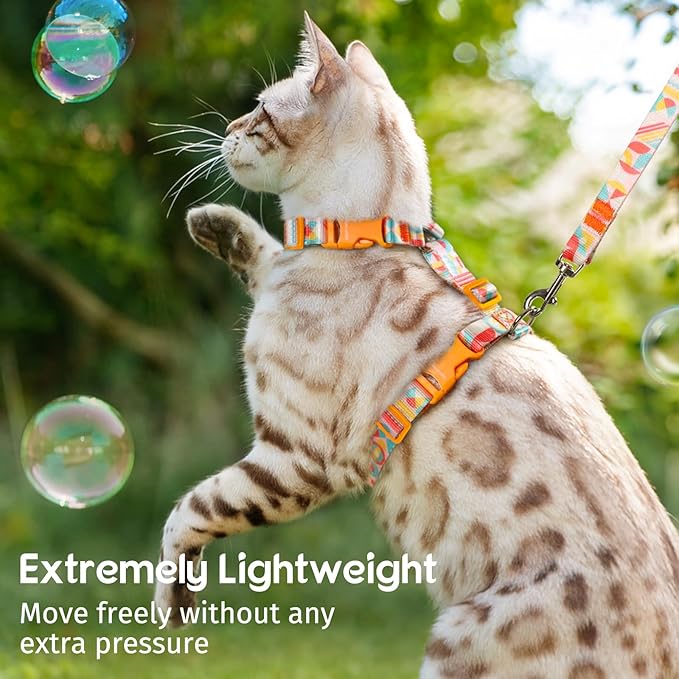 Dooradar Cat Harness and Leash, Escape Proof Adjustable Kitten Vest, Lightweight Soft Pet Straps, Easy Wearing for Small Medium Kitty Safe Walking Travel Control, Rainbow, S