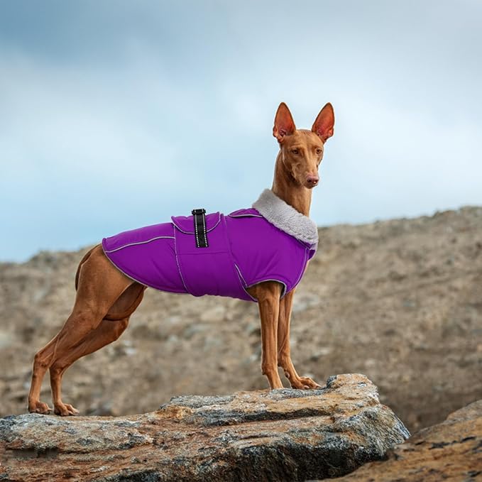 Lelepet Warm Dog Winter Coats for Large Dogs Waterproof Dog Jacket Reflective Pet Fleece Vest Windproof Cold Weather Coats with Adjustable Buckle & Leash Hole, Purple, XXL
