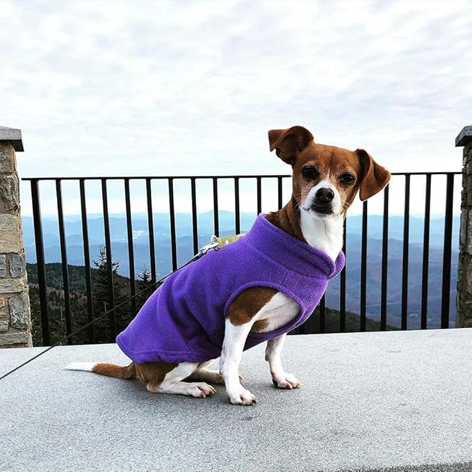 Gooby Fleece Vest Dog Sweater - Lavender, Small - Warm Pullover Fleece Dog Jacket with O-Ring Leash for Small to Medium Dogs