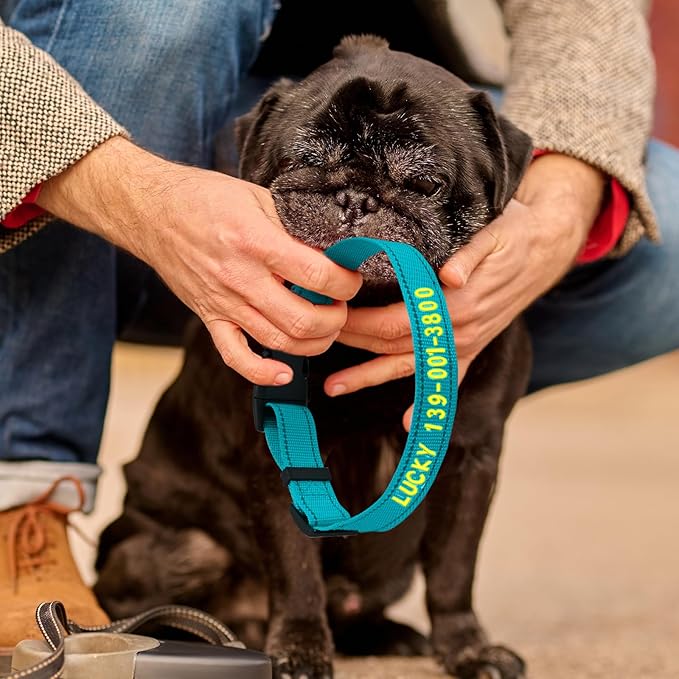 Personalized Embroidered Dog Collar - Custom Hand-Stitched Name & Number, Reflective Adjustable Pet Collar for Small/Medium/Large Dogs & Cats, Durable Nylon with Steel D-Ring (Orange, Small)