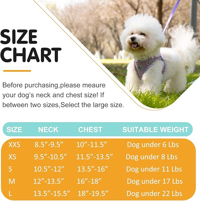 Dog Harness and Leash Set, No Pull Soft Breathable Adjustable Reflective Step In Vest Harness for Puppy, Kitten, Cats