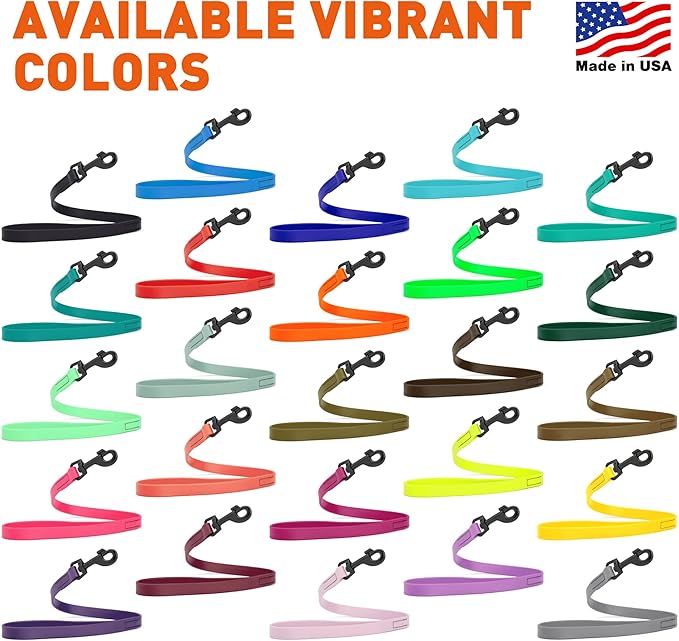 Dogline Biothane Waterproof Dog Leash Strong Coated Nylon Webbing with Black Hardware Odor-Proof Easy to Clean High Performance for Small or Large Dogs Made in USA 2 ft Lead, Blue Aqua