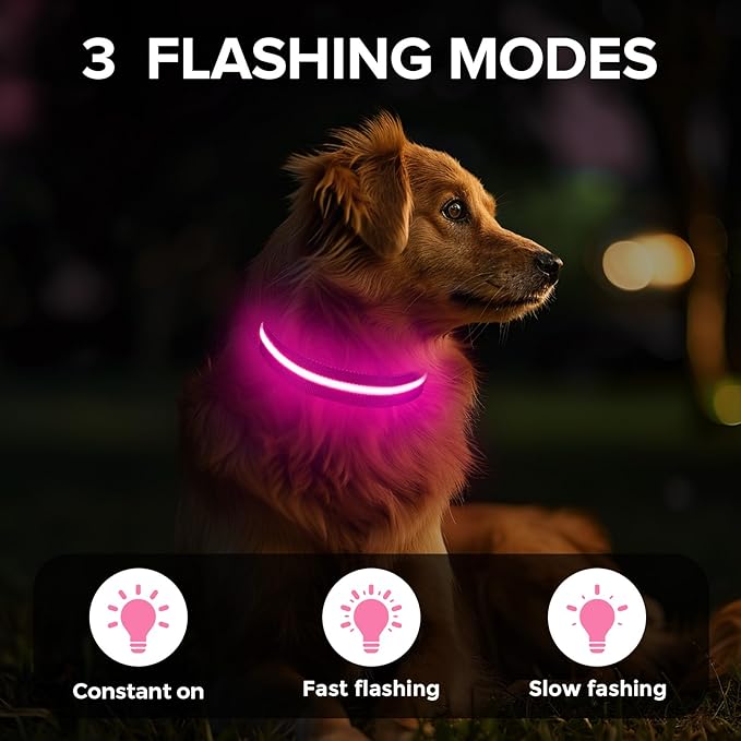 Light Up Dog Collar, Adjustable USB Rechargeable Glow in Dark Dog Collar ，Waterproof Dog Collars for Small Dogs (Pink, Small)