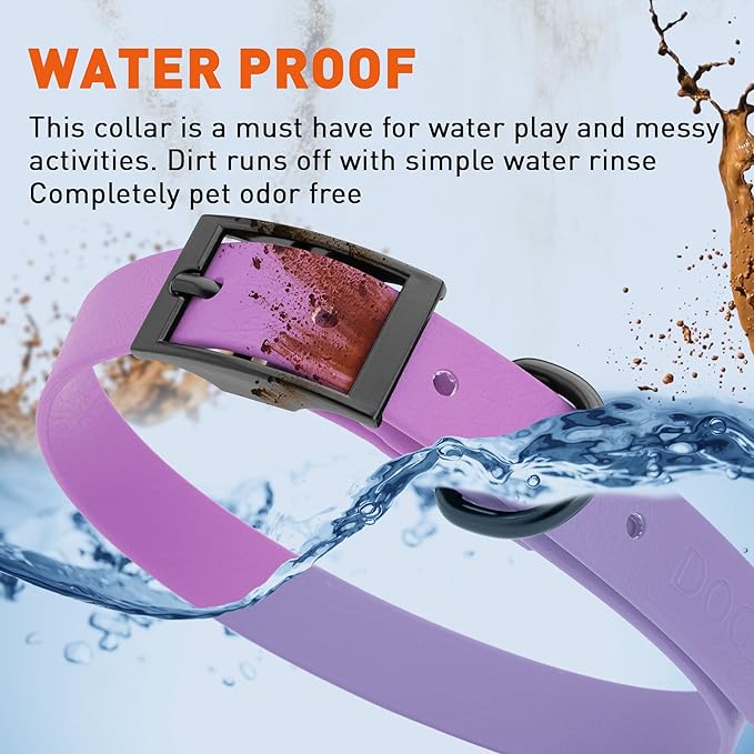Dogline Biothane Waterproof Dog Collar Strong Coated Nylon Webbing with Black Hardware Odor- Proof for Easy Care Easy to Clean High Performance Fits Small Medium or Large Dogs, Amethyst Purple