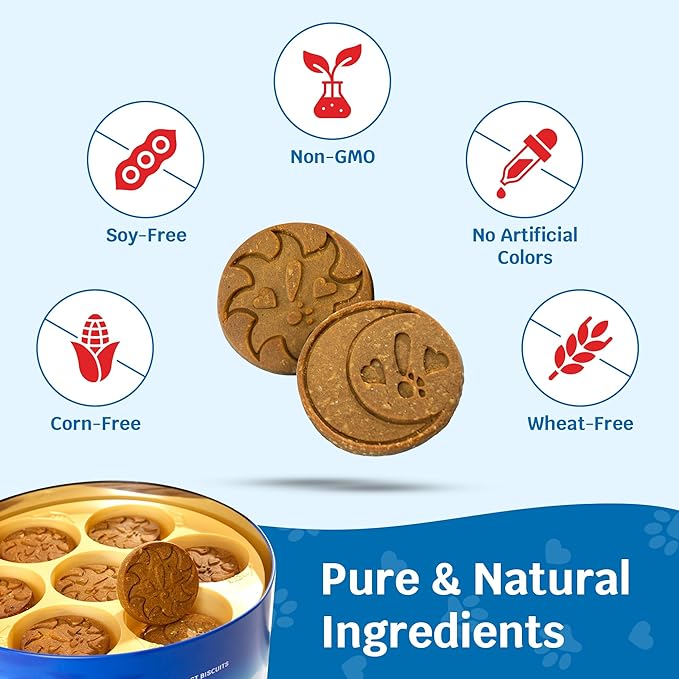 Shmush! Morning & Night Healthy Dog Biscuits – 100% All Natural Dog Treats Superfood with Blueberries, Colostrum & Moringa - Vet Formulated, Non-GMO, USA Made, Grain Free Cookies for Dogs (Box)