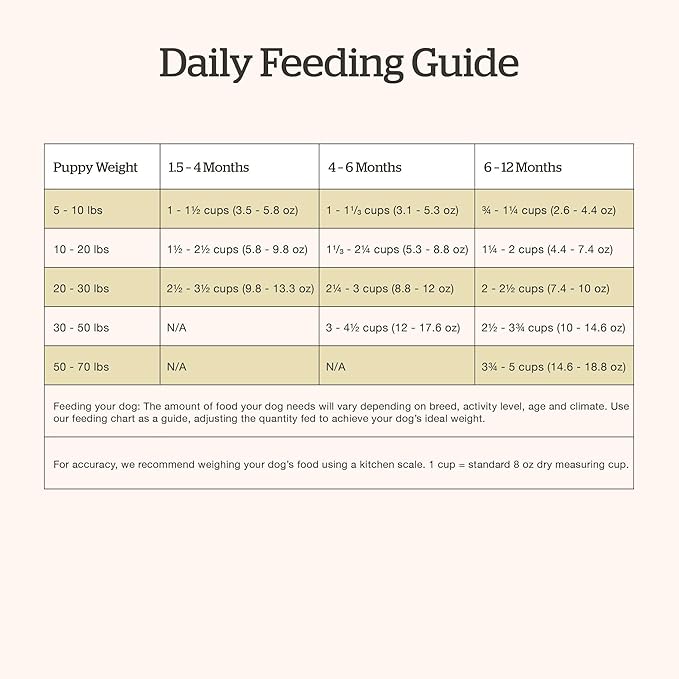 Now Fresh Grain-Free Dry Puppy Food with Turkey, Salmon & Duck, Healthy Kibble for Growing Dogs with Real Meat & Fish, Chicken-Free, Enhanced with Pumpkin & Probiotics for Good Digestion, 22 lb Bag