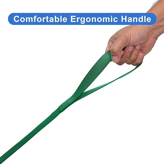Pawtitas 6 FT Solid Lush Green Leash for Puppy Training - Extra Small to Small Dog Leash