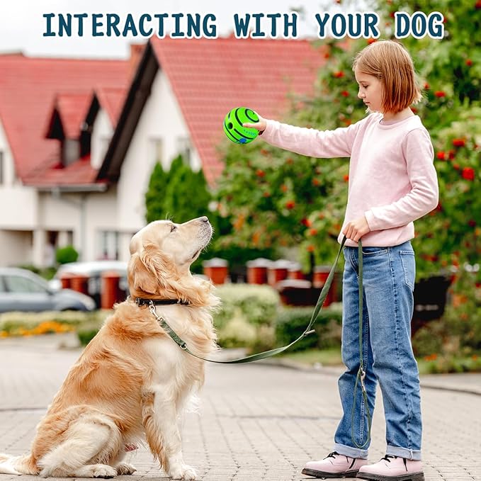 HYQ Small Dog Toys, Interactive Ball, Squeaky Toys for Small to Large Dogs - 5.91 inch