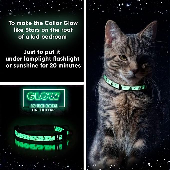 Pawtitas Halloween Cat Collars for Cats Adjustable Collar Glow in The Dark Feature and Safety Breakaway Buckle and Removable Bell to Match Your Halloween Cat's Costume - Pink Skulls Pattern