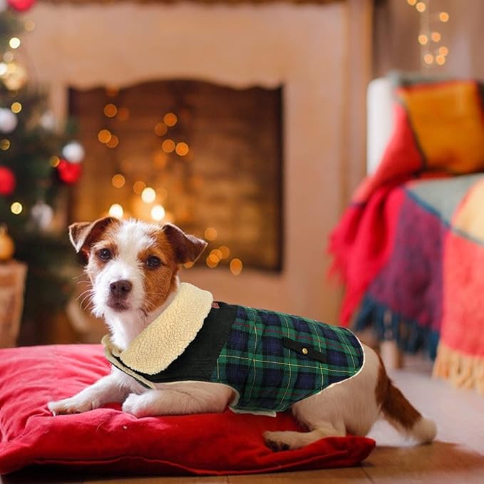 Winter Coat for Small and Medium Dogs, Puppy Plaid Jacket, Cotton Coat for Cold Weather, Windproof Warm Dog Garments, Pet Thickened Outfits Indoor Outdoor, Green XL