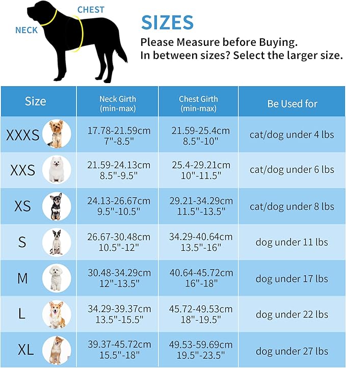 AIITLE Comfortable Dog Harness and Leash Set for Walking - Summer Step in Vest Harness,Reflective Bands, Adjustable No Pull Puppy Essentials, for Small Dogs and House Cats Blue XS