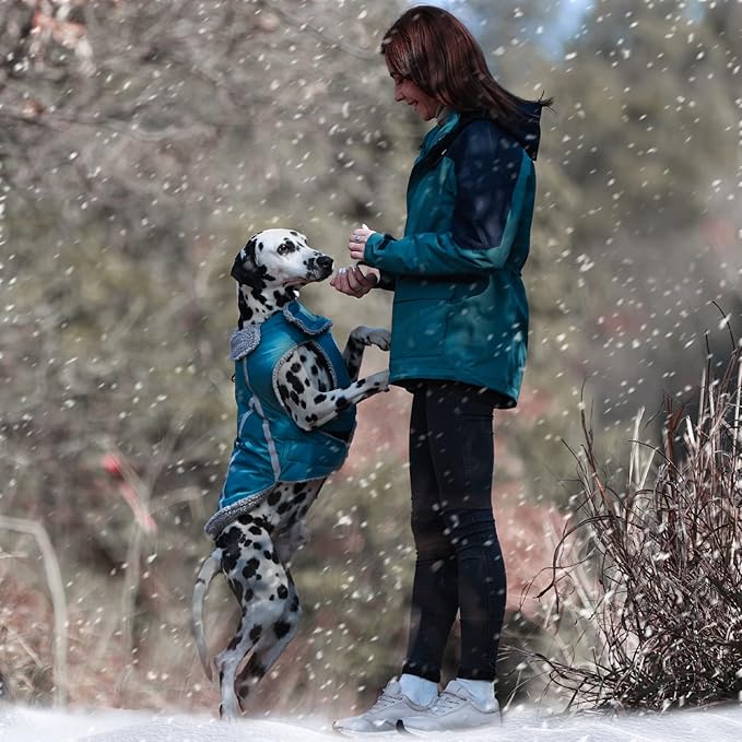 VIVAGLORY Frostfit Dog Coat, Dog Jacket for Winter & Cold Weather, Warm Fluffy Fleece Lined Water Resistant Reflective for Puppy, Coat with Velcro Fastening & Leash Hole, M+, Turquoise