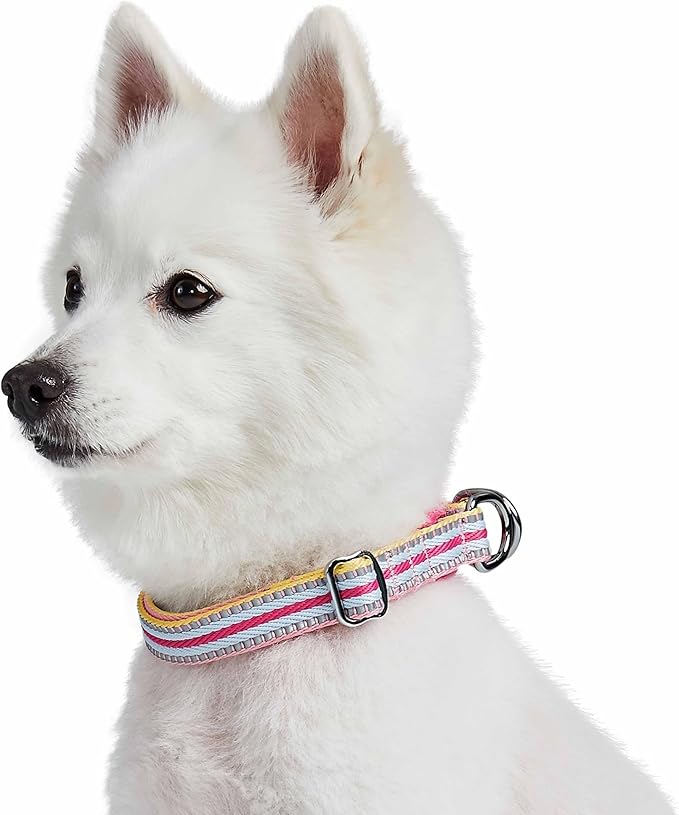 Blueberry Pet Safety Dog Collar with Dual D-Rings | 3M Reflective Multi-Colored Adjustable Collar in Pink and Pastel Blue | Soft Nylon Dog Collar for Active Large Dogs