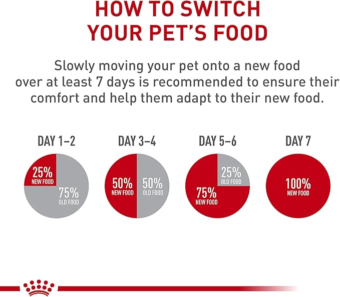 Royal Canin Breed Health Nutrition Poodle Adult Dry Dog Food, 10 lb Bag