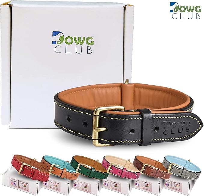 Genuine Leather Dog Collar | Full Grain, Heavy Duty, Comfortable, Padded, Strong | Best for Pups, Small, Medium, Large & XL Breeds (X-Large (Fit Neck Size 22"-26"), Black)