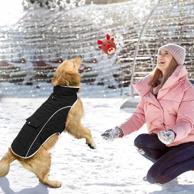 Malier Dog Winter Coat, Windproof Dog Cold Weather Coats with Real Pocket, Winter Extra Warm Pet Coat Fleece Jacket Reflective Clothes for Small Medium Large Dogs and Puppy (Black, X-Large)