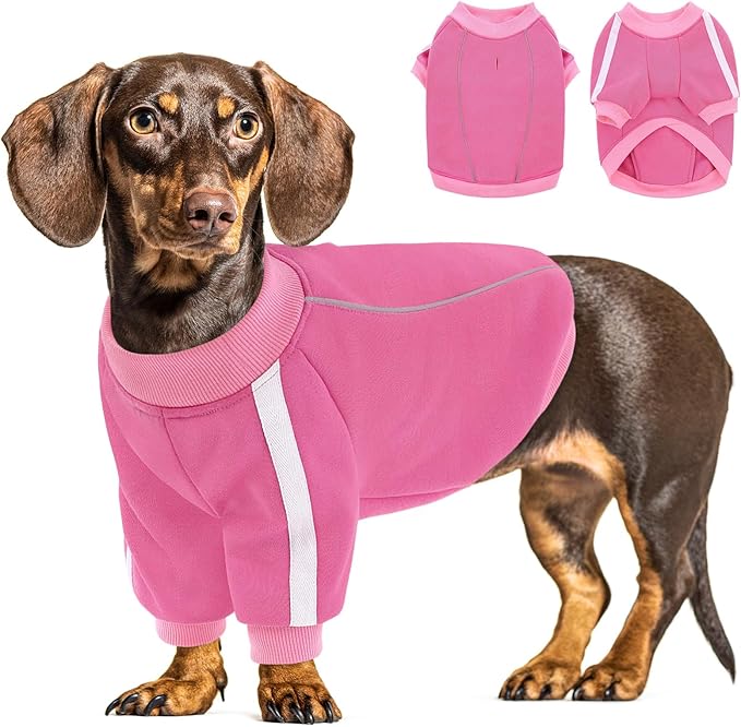 Queenmore Fleece Dog Sweater for Girl Dogs, Pullover Pink Dog Sweatshirt Sweatshirt with Leash Hole, Reflective Stripes – Cozy Winter Fleece Jacket for Small/Medium/Large Femal Puppy M