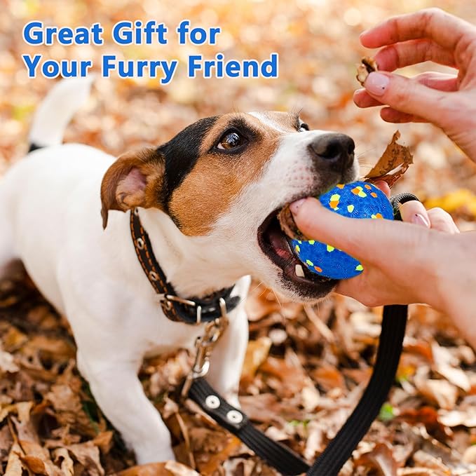 4Pcs Super Bouncy Dog Balls, Fun Indestructible Tennis Balls for Aggressive Chewers, Durable Floating Fetch Toys for Small Dogs with Lifetime Replacement