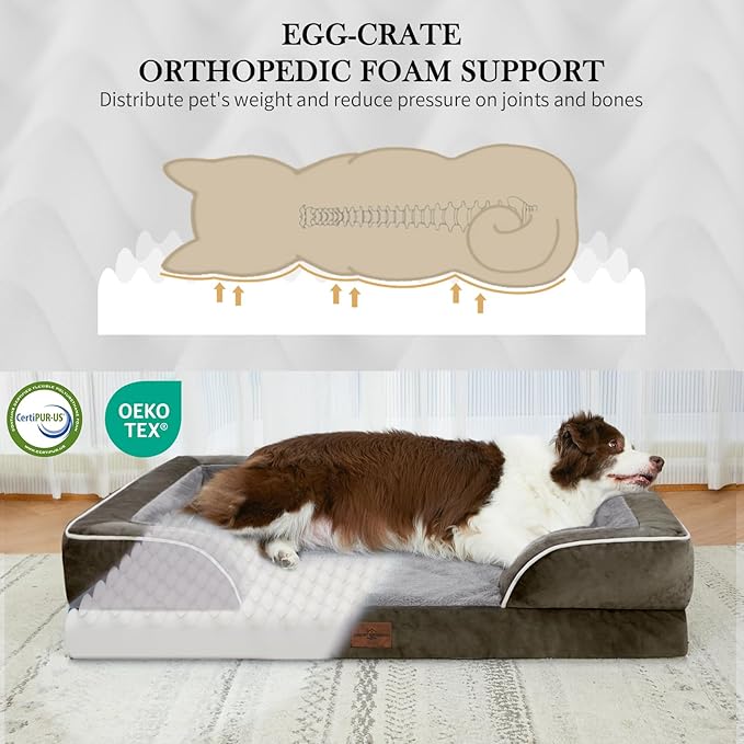 Comfort Expression Orthopedic Dog Bed for Small Dogs 24x16 Inch, Waterproof Supportive Egg Crate Foam Small Pet Bed with Removable Bolsters, Dog Couch with Washable Cover & Non-Slip Bottom, Dark Green