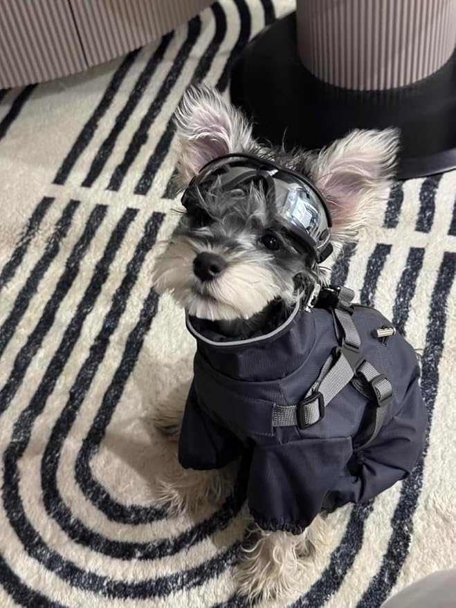 Mile High Life Waterproof Dog Raincoat, Full Coverage Small Dog Rain Coat with Harness, Adjustable 4 Legs Puppy Rain Jacket with Reflective Strip and Elastic Cuffs (Gray, XXS Back Length 9.8")