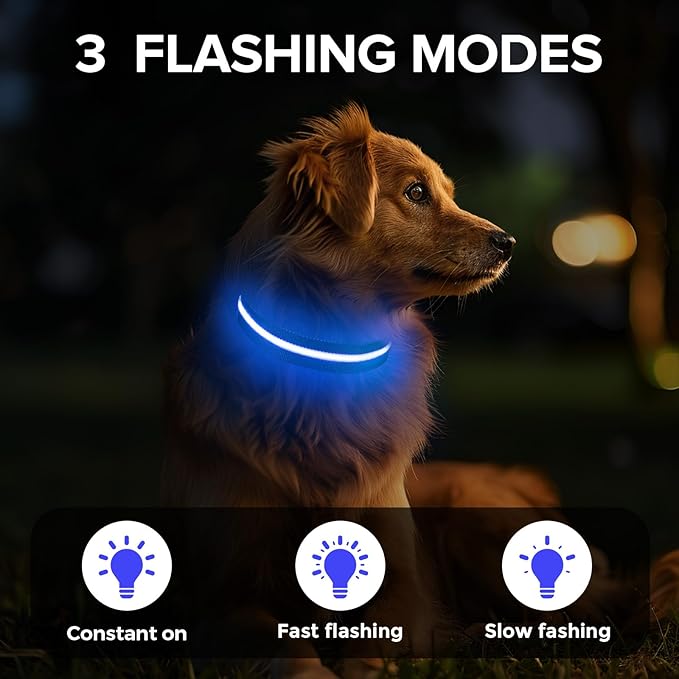 Light Up Dog Collar, Adjustable USB Rechargeable Glow in Dark Dog Collar ，Waterproof Dog Collars for Large Dogs (Blue, Large)