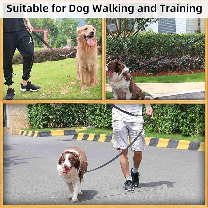 AMAGOOD 6 FT Puppy/Dog Leash, Strong and Durable Traditional Style Leash with Easy to Use Collar Hook, Great for Small, Medium and Large Dogs (1" x 6 ft, Black and Purple (2-Pack))