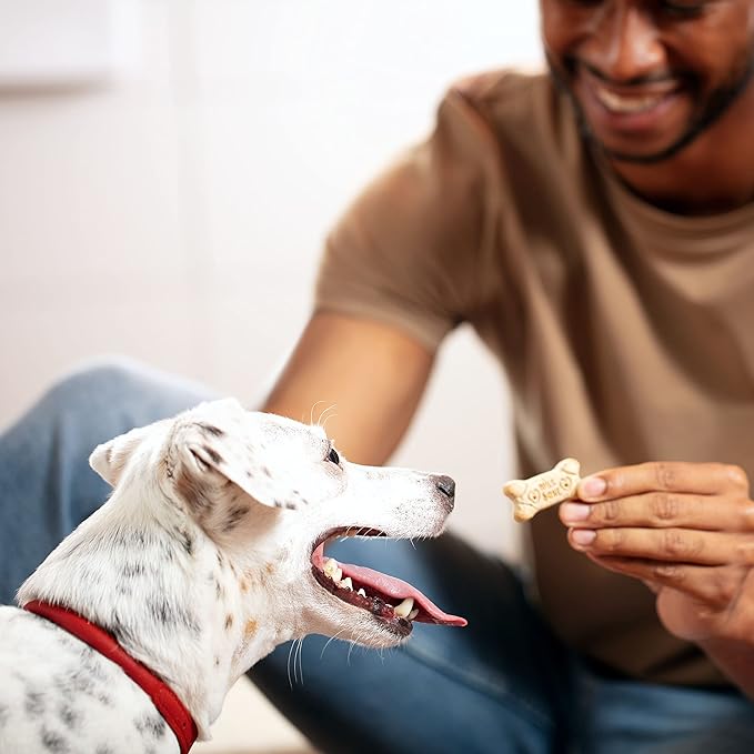 Milk-Bone Original Biscuits, Medium Dog Treats, 4 Pound Box