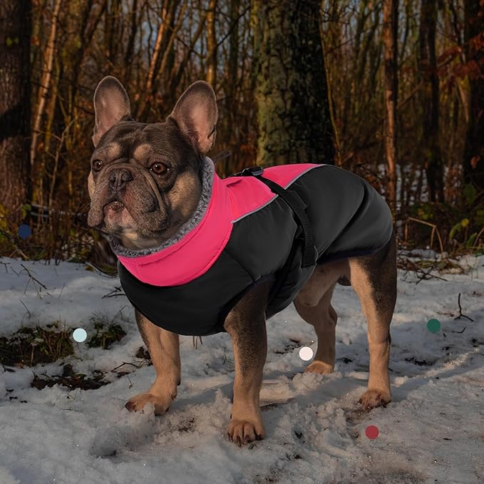 IECOii Extra Warm Dog Coat - Reflective Jacket with Buckle & Fleece Turtleneck for Cold Weather, Soft Winter Coat for Small to Extra Large Dogs