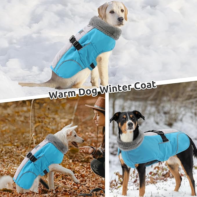 Queenmore Dog Winter Jacket, Fleece Lining Pet Vests for Winter, Dog Cold Weather Coats, Dogs Coat for Medium Puppy Waterproof, Pet Snowsuit with Leash Hole, Blue, M