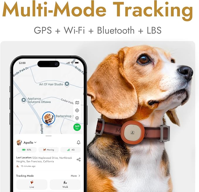 Automatic Dog Feeder for Large Dogs, 14L Capacity, 2.4G WiFi App Control, Dual Power Supply, Stainless Steel Bowl, and Molly&Cody GPS + Bluetooth Pet Tracker for Cats & Dogs – Real-Time Tracking Bundl
