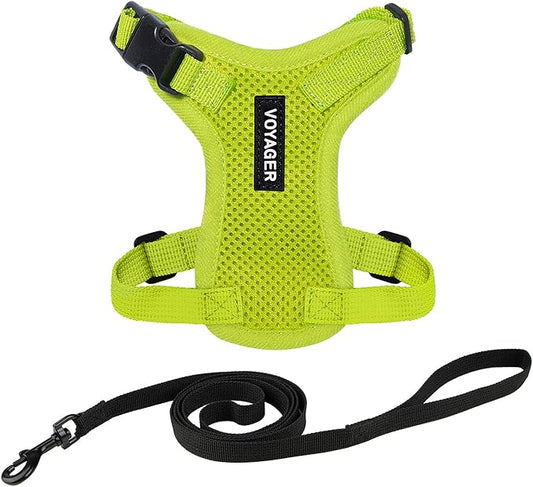Voyager Step-in Lock Adjustable Cat Harness w. Cat Leash Combo Set with Neoprene Handle 5ft - Supports Small, Medium and Large Breed Cats by Best Pet Supplies - Lime Green, XXXS
