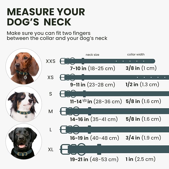 BronzeDog Rolled Leather Dog Collar with QR ID Tag, Adjustable Soft Round Collars for Small Medium Large Dogs Puppy (11" - 14 1/2" Neck Size, Denim)